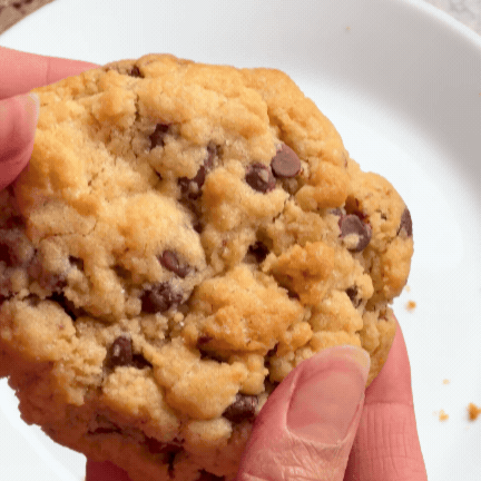 The Sweetlab Chunky Cookie Drop